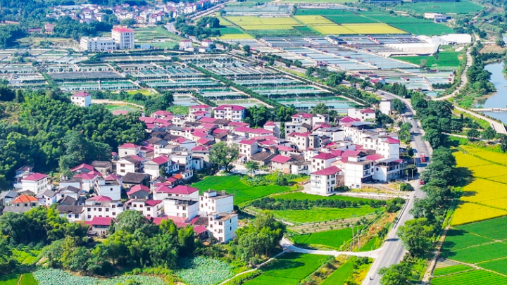 年终话“三农”丨岁稔年丰 乡村和美—2025，共绘乡村振兴新“丰”景